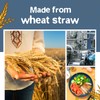 Teivio 48-Piece Kitchen Wheat Straw Dinnerware Set, Service for 12,