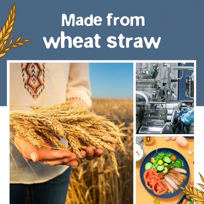 Teivio 48-Piece Kitchen Wheat Straw Dinnerware Set, Service for 12,