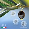 Roi Extra Virgin Olive Oil from Italy - Cucina Ligurian