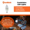 GoodBulb E12 Candelabra LED Bulb | 5W 2700K Soft White
