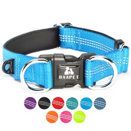 BAAPET Comfortable Dog Collar with Double Security Dual D-Ring and ID Tag Hanger for Small Puppy, Medium and Large Dogs