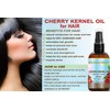 Italian CHERRY KERNEL OIL Pure Natural Refined Undiluted Cold Pressed