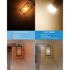 1820 Bulb #313 1445 1813 1816 1815 53 57 BA9S Led Bulb 10-30Volt AC/DC for Train Light, Bingo Board Display, Instrument Indicator Lights, House Number Light Bulb 1818 1819 1893 Warm White 2Pack