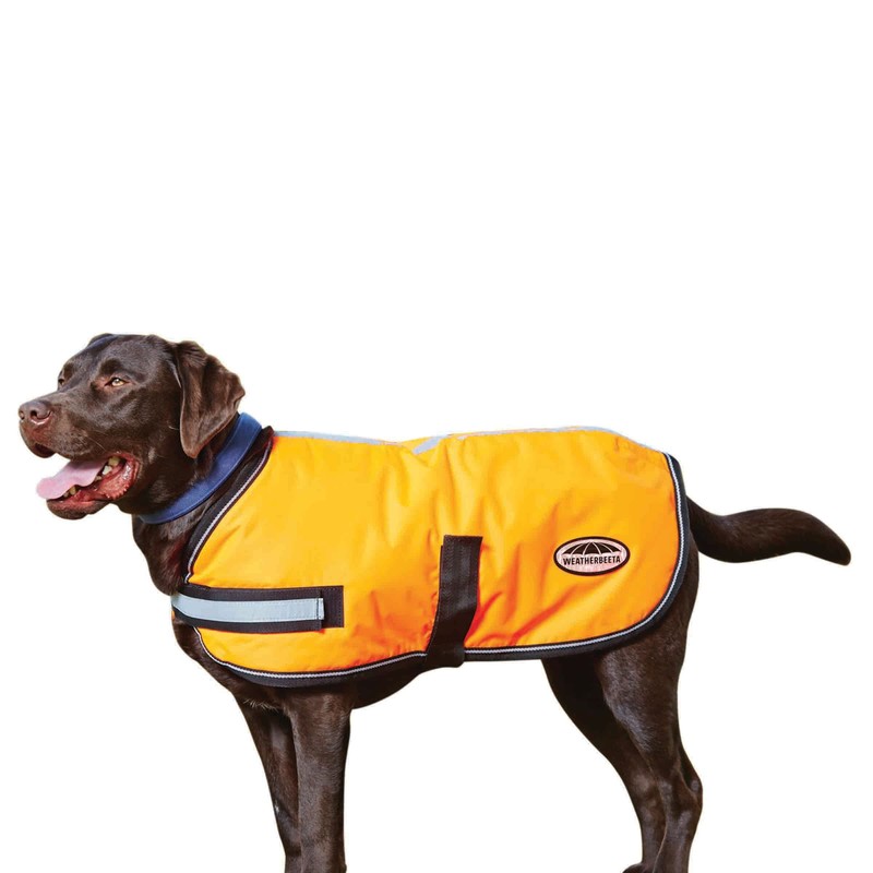 WeatherBeeta ComFiTec Reflective Parka 300D Dog Coat, Orange, 26"