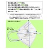 Garden KN95-MASK-40P KN95 Mask, Set of 40, GB2626-2019 Standard, Foldable,