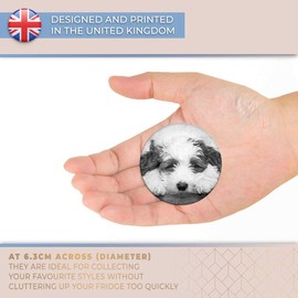 Destination Vinyl ltd Magnet for Refrigerator, Fridge BW - Sleepy Fluffy White Dog Puppy Cute for Office, Cabinet and Whiteboard, Magnetic Stickers, 42373