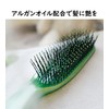 18131A Hair Brush, Scalp Massage Brush & Styling, Glossy, Argan