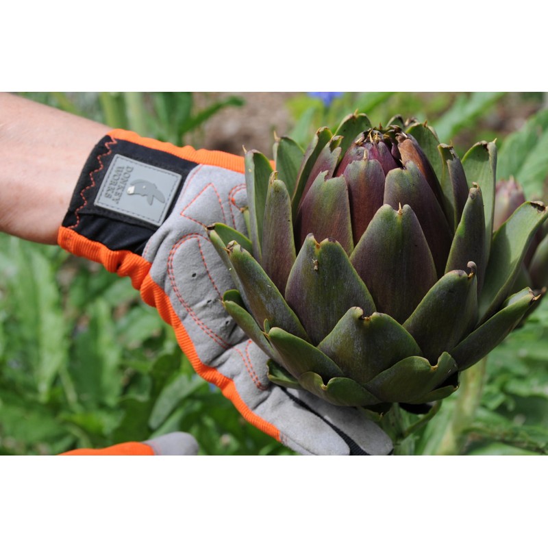 Donkey Works Gardening Gloves, Multifunctional Gloves for Gardening, DIY, Housework,