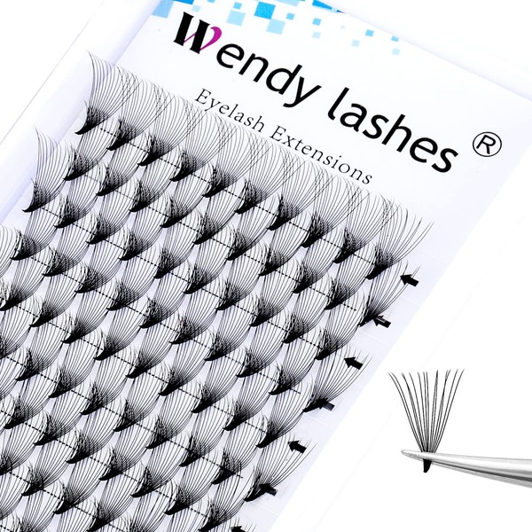 WENDY LASHES Volume Lash Extensions 14D Premade Fans Eyelash Extensions