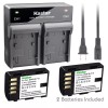 Kastar DMW-BLF19 Battery & Dual Charger for Panasonic Lumix DMC-GH3