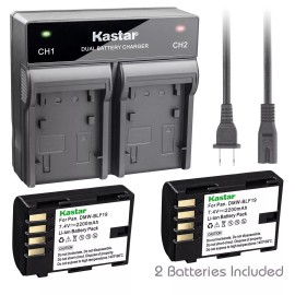Kastar DMW-BLF19 Battery & Dual Charger for Panasonic Lumix DMC-GH3 GH3A GH3AGK GH3GK