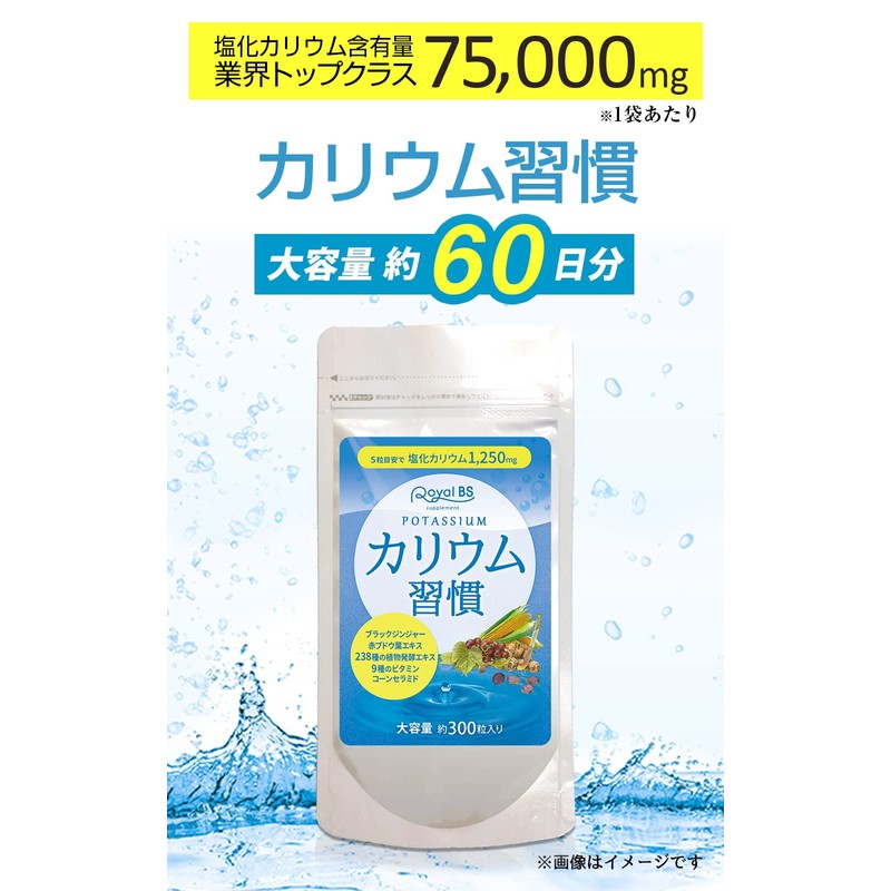 カリウム習慣 サプリメント 黒生姜 健康サプリメント ブラックジンジャー 黒ショウガ しょうがサプリ 生姜サプリ 黒ウコン ポリフェノール
