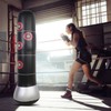 Inflatable Boxing Punching Kick Training Tumbler Bop Bag with Air