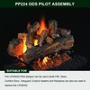 104286-01 ODS Pilot Assembly PP224 LPG8420 L98310-01 J3866 Gas Logs