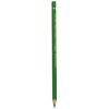 Caran D'Ache Pablo Colored Pencils Emerald Green (210/666)