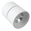 Surface Mounted Anti Glare Led Ceiling Light Foldable Rotating Spotlight