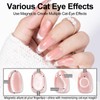 NXJ INFILILA 0.5 OZ Cat Eye Gel Polish, 15ML Holographic