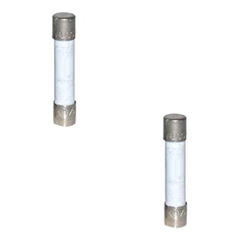 Hot Tub 1.25 Amp, 250 Volt, Standard Fuse 2 Pack Compatible with Most Sundance Spa SUN6660-112