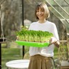 Pack of 6 Microgreens Growing Kit, Microgreen Trays for Seed