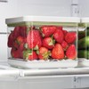 iDesign Small Fridge Produce Bin with Removable Drainage Tray and