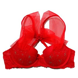 Victoria's Secret Padded Dream Angels Balconet Bra (32C, Red Bow)
