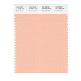 PANTONE Smart 14-1219X Color Swatch Card, Peach Parfait