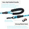 Strong Dog Lead, 3 M/2 M, Suitable for Medium and