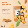 Berrilys Organic Bitter Apricot Kernels - USDA Certified Organic Bitter