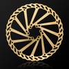 CNC Bike Disc Brake Rotor 203mm，MTB Brake Rotor With Bolts，2pcs（Gold）