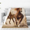 Bidesk Horse Throw Blanket - Soft, Cozy and Warm Flannel