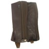 REQUISITE Kids' Synthetic Riding Chaps (Small) Brown