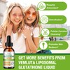 2 Pack 3000mg Liposomal Glutathione Liquid Drops, 98% Absorption Liposomal