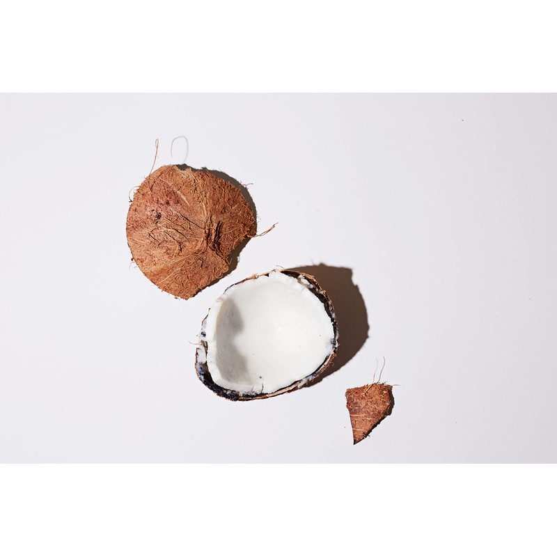 LATHER Coconut Foaming Body Scrub 4 oz - a unique