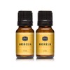 Ambrosia Premium Grade Fragrance Oil - Perfume Oil - 10ml