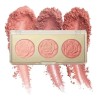 Paleta Rubor Milani Rose Powder Blush Floral Fantasy Mate 12g