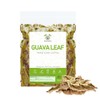 HERBALISTA - Té de hojas de guayaba enteras de cosecha