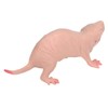 Mrisata Plastic Mole Figure, Plastic Mole Figure, Toy Simulation, Static