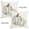 SHAPTOY Fall Autumn White Pumpkin Throw Pillow Covers 16x16 Inch