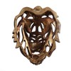 Lion Head Art Wall Decor Resin Vivid Lion Head Wall