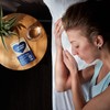 Night Time Complex – Together Health – Marine Magnesium –