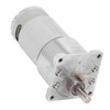 DC Gear Motor Eccentric Shaft CW CCW Self Locking Brass