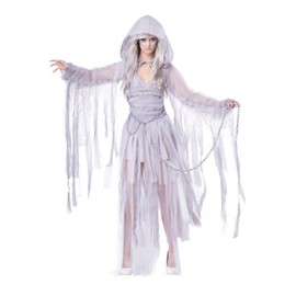 California Costumes Women's Haunting Beauty Costume Small Silver
