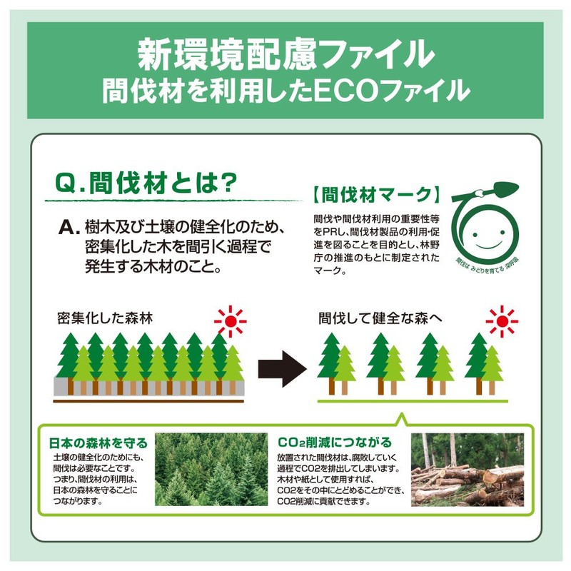 プラス フラットファイル A4縦 2穴 背幅伸縮セノバス 間伐材 86-948 ピンク