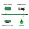Breakaway Cat Collar Leather with Removable Bell - 13 Colors