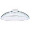 HARIO F-MN-225 Glass Lid for Soil Pots, Glass Lid