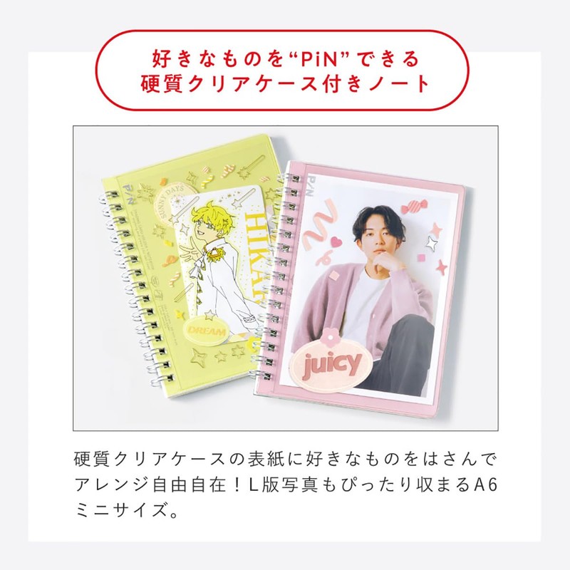 Iroha Publishing PiN NOTE GPN6-05 A6mini Size/Ring Type [Purple]