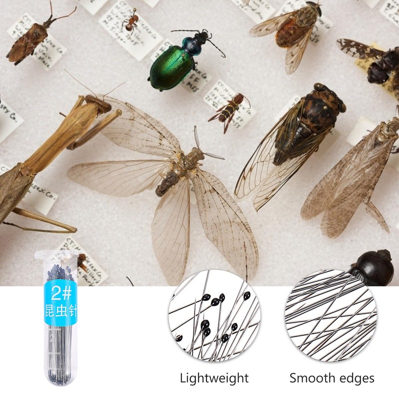 POPETPOP Collection Ornament Kits 200Pcs Stainless Steel Specimen Entomology Dissection