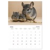 Irresistible Chinchillas (Monthly Wall Calendar 2026 16.5" x 23.4" (open)),
