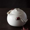 Yilong Teapot 6.1 fl oz (180 ml) for Chinese Tea