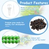 GoorDik 50 Pack Seed Starter Pods for Indoor Hydroponics Growing